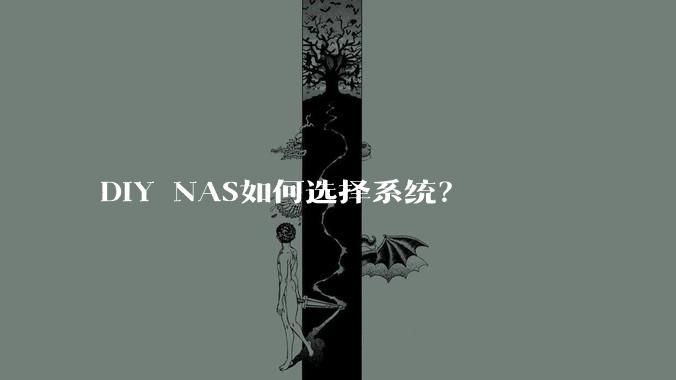 DIY NAS如何选择系统？