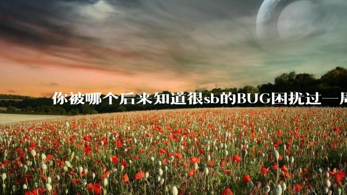 你被哪个后来知道很sb的BUG困扰过一周以上吗？