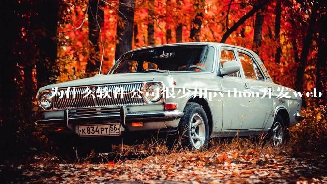 为什么软件公司很少用python开发web?