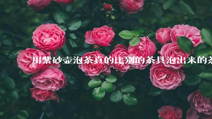 用紫砂壶泡茶真的比别的茶具泡出来的茶更有味道吗？