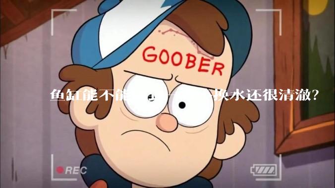 鱼缸能不能做到一直不换水还很清澈？