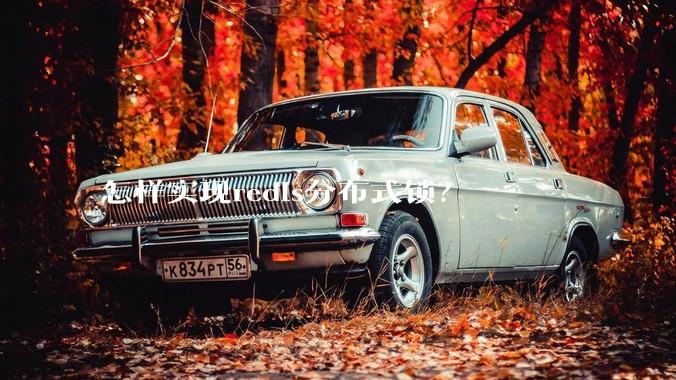 怎样实现redis分布式锁？