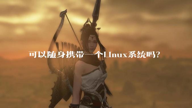 可以随身携带一个Linux系统吗？