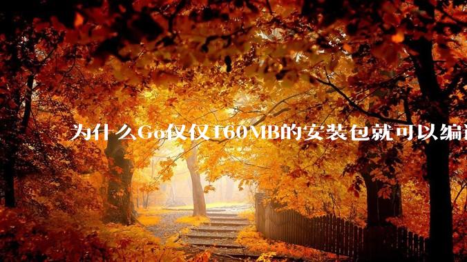 为什么Go仅仅160MB的安装包就可以编译程序，而Rust却还需要几个GB的VC++才能编译？