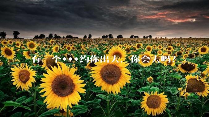 有一个***约你出去，你会去吗？