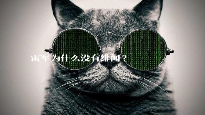 雷军为什么没有绯闻?