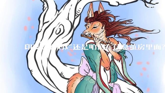 印度是真的烂还是咱们在信息茧房里面？