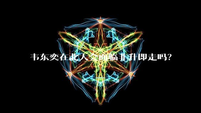 韦东奕在北大会面临非升即走吗？