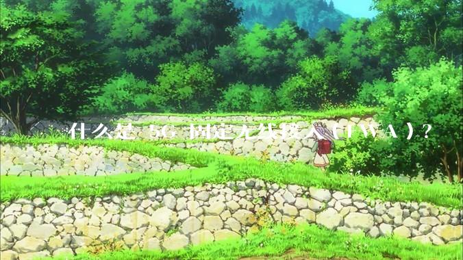 什么是 5G 固定无线接入（FWA）？