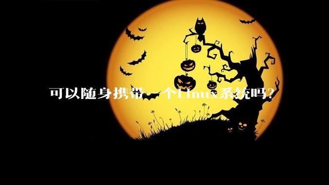 可以随身携带一个Linux系统吗？