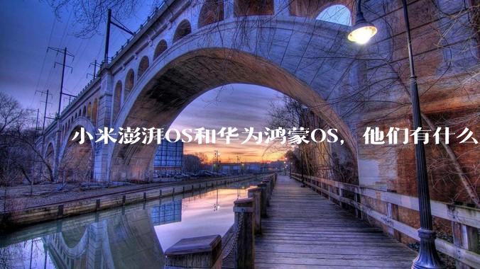 小米澎湃OS和华为鸿蒙OS，他们有什么不一样，谁更有发展前途？