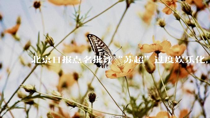 北京日报点名批评“苏超”过度娱乐化，它是否管的太宽了？为什么无良媒体不会被查封取缔？