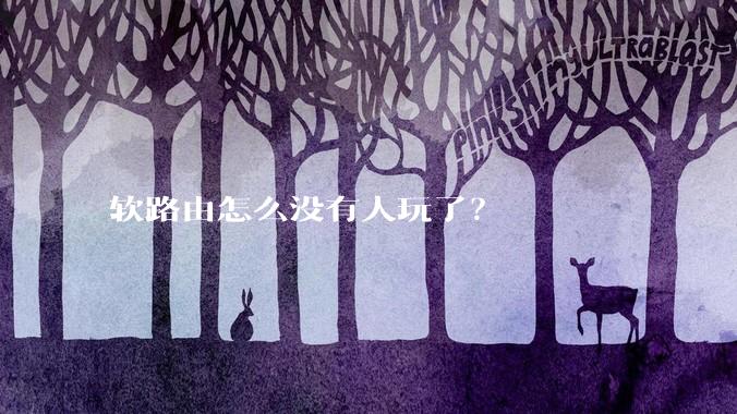 软路由怎么没有人玩了？