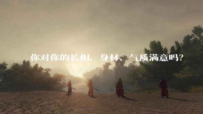 你对你的长相、身材、气质满意吗？