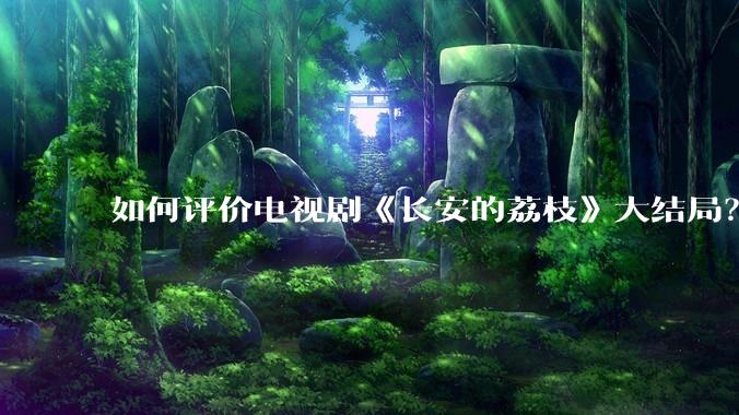 如何评价电视剧《长安的荔枝》大结局？