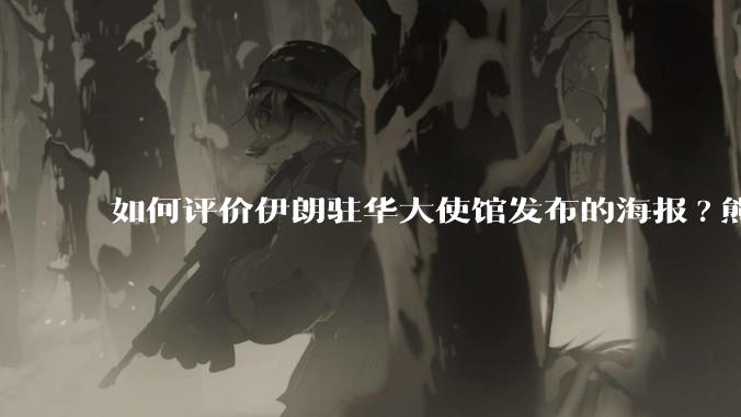 如何评价伊朗驻华大使馆发布的海报?熊熊圣火，焚以残躯……?