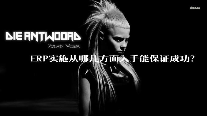 ERP实施从哪几方面入手能保证成功？