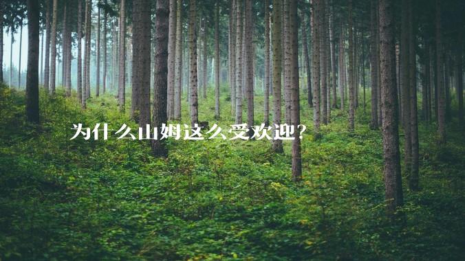 为什么山姆这么受欢迎？
